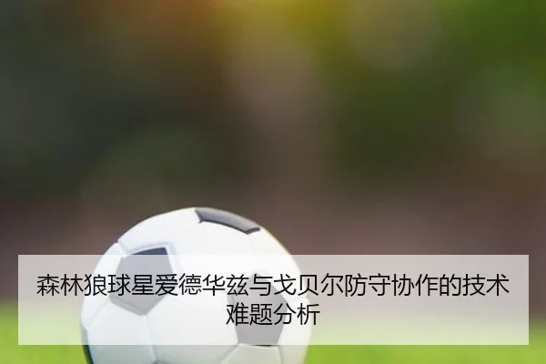森林狼球星爱德华兹与戈贝尔防守协作的技术难题分析